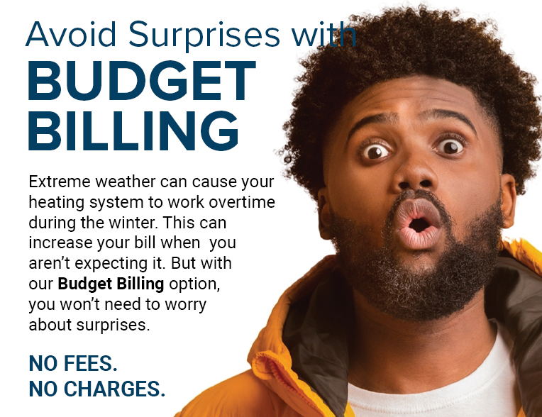 budget billing image